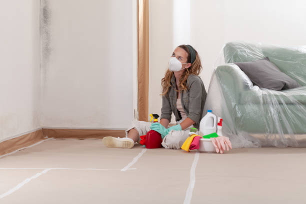 Reliable Mold Testing contractor in Clinton, NY by WQB Mold Removal